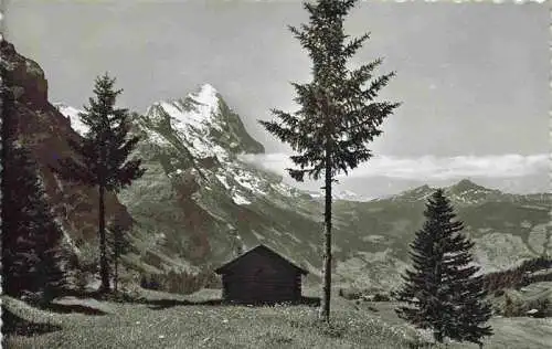 AK / Ansichtskarte  Grindelwald_BE Panorama