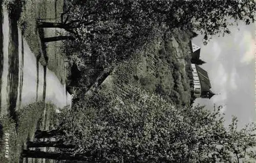 AK / Ansichtskarte  Staufberg_Egliswil_AG Eglise Allee