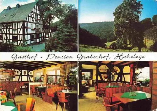 AK / Ansichtskarte 73983838 Hoheleye Gasthof Pension Graberhof Gastraeume Panorama