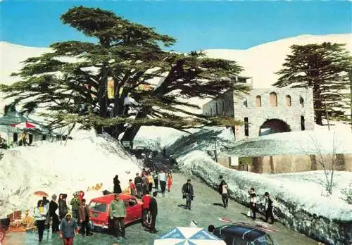 AK / Ansichtskarte 73984042 Lebanon The Cedars in winter