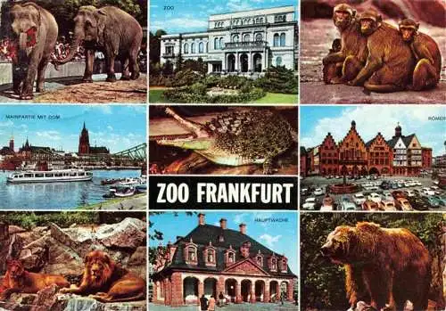 AK / Ansichtskarte  Zoo_Gardin_Zoologique-- Frankfurt  Elefant Baer Affen Loewe 