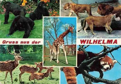 AK / Ansichtskarte 73984086 Zoo_Gardin_Zoologique-- Bad Cannstatt Wilhelma Stuttgart Loewen Axishhirsche Panda Netzgiraffe