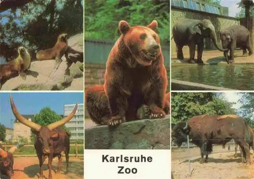 AK / Ansichtskarte  Zoo_Gardin_Zoologique-- Seeloewe Watussi-Rinder Braunbaer Elefasnten Bison