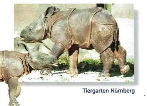 AK / Ansichtskarte 73984092 Zoo_Gardin_Zoologique-- Nuernberg Panzernashorn Albrecht