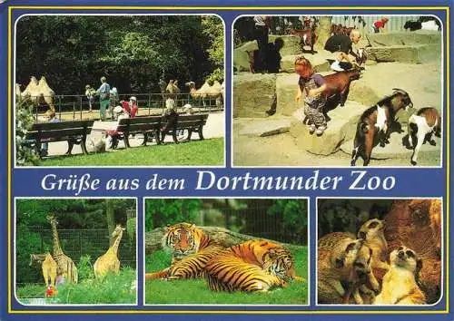 AK / Ansichtskarte  Zoo_Gardin_Zoologique-- Dortmunder Tieger Elefant Kamel Ziegen