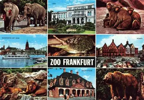 AK / Ansichtskarte  Zoo_Gardin_Zoologique-- Frankfurt Elefant Affe Baer Loewe