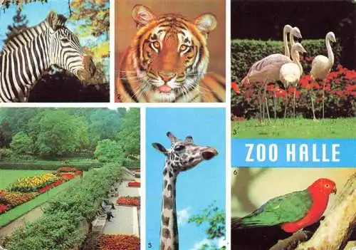AK / Ansichtskarte 73984109 Zoo_Gardin_Zoologique-- Halle Zebra Flamingo Giraffe Tieger