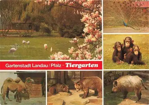 AK / Ansichtskarte 73984118 Zoo_Gardin_Zoologique-- Landau Pfalz Baer Wieldschwein Affen Kamel Flamingos