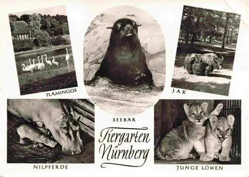 AK / Ansichtskarte 73984122 Zoo_Gardin_Zoologique-- Nuernberg Seebaer Jak Jung Loewe Nielpferd Flamingos