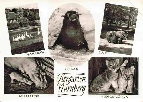 AK / Ansichtskarte  Zoo_Gardin_Zoologique-- Nuernberg Seebaer Jak Jung Loewe Nielpferd Flamingos