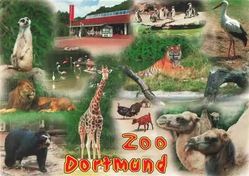 AK / Ansichtskarte 73984125 Zoo_Gardin_Zoologique-- Dortmund Erdmenchen Tieger Storch Baer Loewe Giraffe Kamel