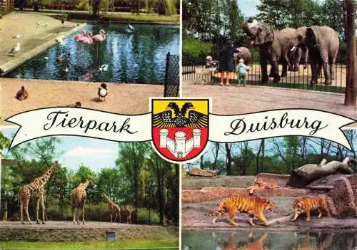 AK / Ansichtskarte 73984127 Zoo_Gardin_Zoologique-- Duisburg Tieger Giraffe Elefant Flamingos