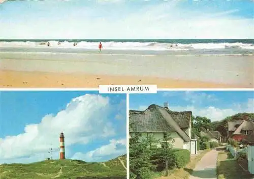 AK / Ansichtskarte  Amrum_Insel_Nebel_Nordfriesland Panorama Strand Leuchtturm Ortsmotiv Reetdachhaeuser