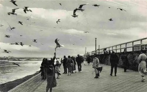 AK / Ansichtskarte 73984436 NORDERNEY_Nordseebad Strandpromenade Moewen