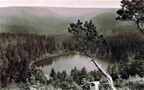 AK / Ansichtskarte  Ruhestein_Baiersbronn_BW Panorama Wildsee Schwarzwald