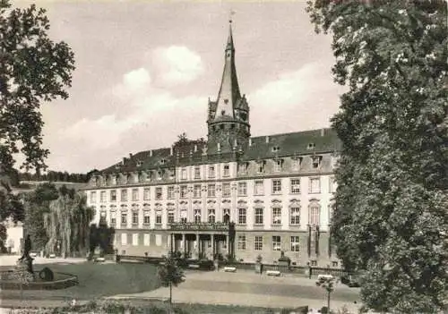 AK / Ansichtskarte  Erbach_Odenwald Schloss