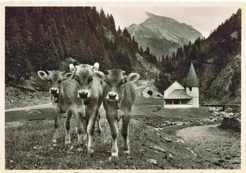 AK / Ansichtskarte  Steg_Saminatal_Liechtenstein Panorama Rinder Kapelle