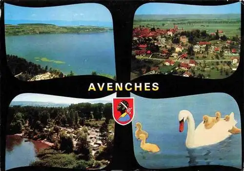 AK / Ansichtskarte  Avenches_VD Camping d'Avenches Panorama Vue aerienne