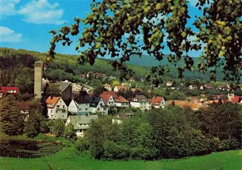 AK / Ansichtskarte  Bad_Sachsa_Harz Panorama Blick vom Knickberg