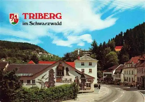 AK / Ansichtskarte  Triberg_Schwarzwald_BW Hauptstrasse Heimatmuseum