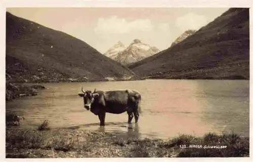 AK / Ansichtskarte  AROSA_GR Schwellisee mit Kuh