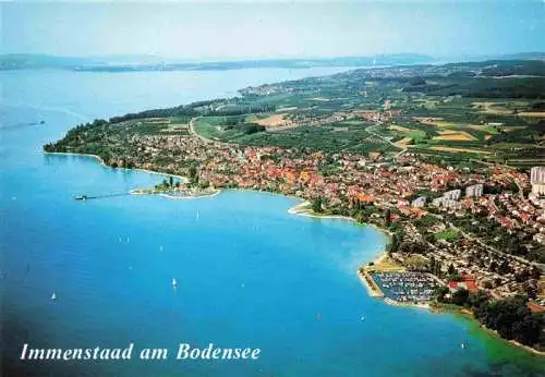 AK / Ansichtskarte  Immenstaad_Bodensee Fliegeraufnahme