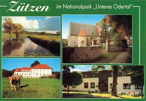 AK / Ansichtskarte 73985411 Zuetzen_Angermuende Panorama Nationalpark Unteres Odertal Viehweide Gaststaette zum Winkel Friedhof