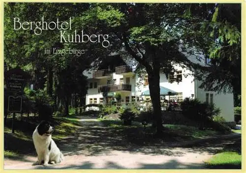 AK / Ansichtskarte 73985544 Stuetzengruen Berghotel Kuhberg