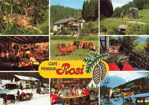 AK / Ansichtskarte 73985562 Poppeltal Pension Cafe Rosi Gastraeume Terrasse Rehkitz Waldweg Pferdeschlitten