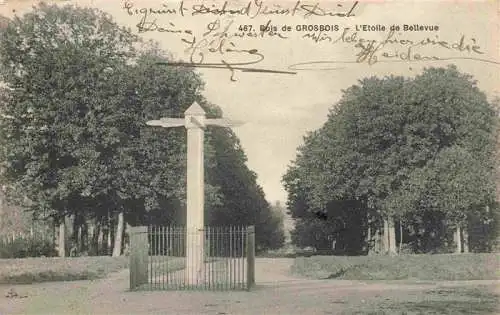 AK / Ansichtskarte  Bois_de_Grosbois_25_Doubs Etoile de Bellevue