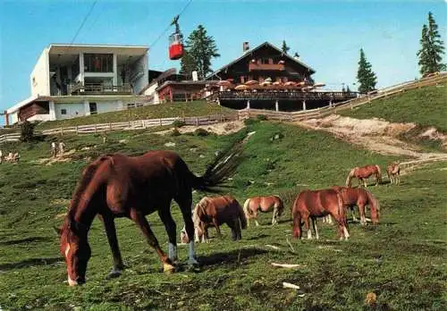 AK / Ansichtskarte 73985780 Seefeld_Tirol Pferde bei der Rosshuette mit Hermelekopfbahn Bergbahn