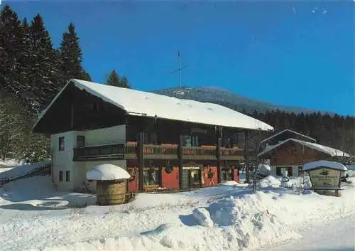 AK / Ansichtskarte  Zwieselerwaldhaus Gasthaus Pension Baernloch Winterlandschaft