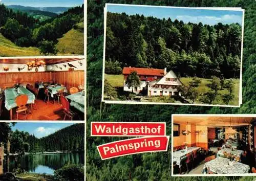 AK / Ansichtskarte  Bad_Peterstal-Griesbach Waldgasthof Pension Palmspring Landschaftspanorama See