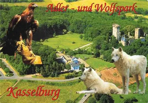 AK / Ansichtskarte  Pelm Adler- und Wolfspark Kasselburg Luftaufnahme Adler Woelfe