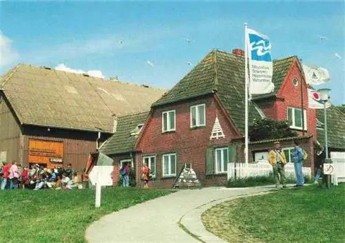 AK / Ansichtskarte  Hallig_Hooge Wattenmeerhaus Hooge