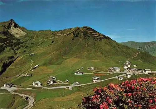 AK / Ansichtskarte  Faschina_Fontanella_Vorarlberg_AT im Grosswalsertal mit Glatthorn