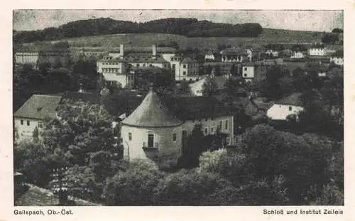 AK / Ansichtskarte  Gallspach_Oberoesterreich_AT Schloss und Institut Zeileis