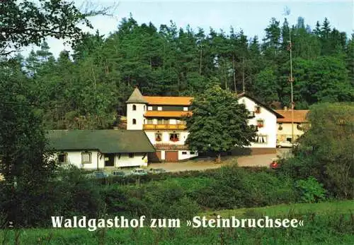 AK / Ansichtskarte  Furth_Wald Waldgasthof zum Steinbruchsee