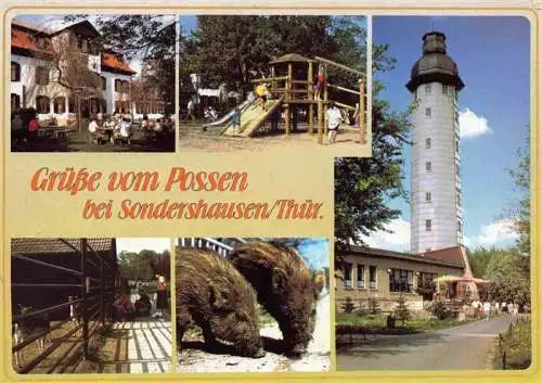 AK / Ansichtskarte 73986732 Sondershausen_Thueringen Gruesse vom Possen Tierpark Aussichtsturm Restaurant