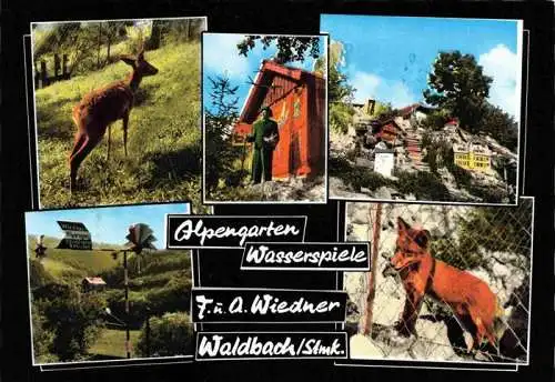 AK / Ansichtskarte  Waldbach_Steiermark_AT Alpengarten Wasserspiele Reh Fuchs