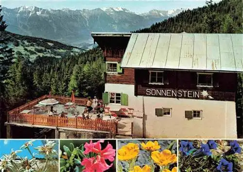 AK / Ansichtskarte 73986792 Fulpmes_Tirol_AT Ausflugsort Gasthaus Sonnenstein Panorama Blick gegen Nordkette Alpenflora