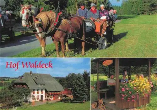 AK / Ansichtskarte  Grafenhausen_Schwarzwald Hof Waldeck Pferdewagen Ferien auf dem Bauernhof