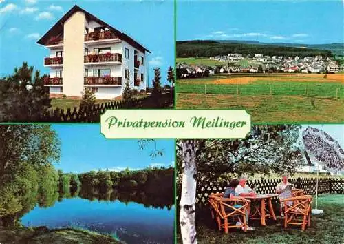 AK / Ansichtskarte  Hintermeilingen_Waldbrunn Pension Meilinger Partie am See Panorama