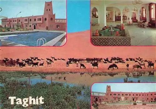 AK / Ansichtskarte  Taghit_ORAN_Algerie Hotel Foyer Seimming Pool Wueste Kamele