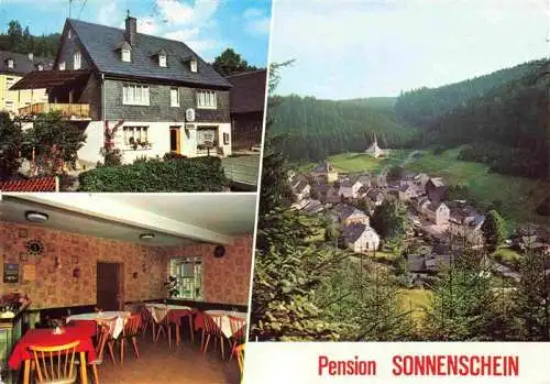 AK / Ansichtskarte  Duerrenwald_Geroldsgruen Pension Sonnenschein Gastraum Panorama Frankenwald