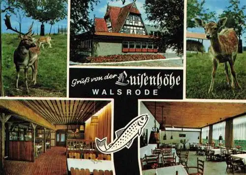 AK / Ansichtskarte  Walsrode_Lueneburger_Heide Restaurant Luisenhoehe Gastraeume Rehwild