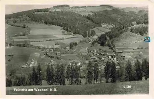 AK / Ansichtskarte  Freistritztal am Wechsel