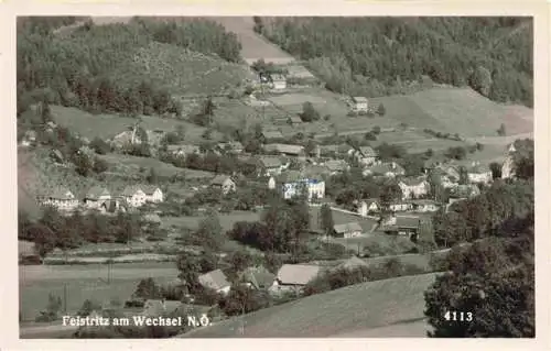 AK / Ansichtskarte  Freistritztal am Wechsel