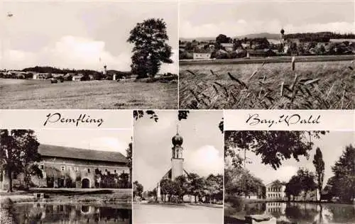 AK / Ansichtskarte  Pemfling_Cham_Bayern Panorama Teich Kirche 