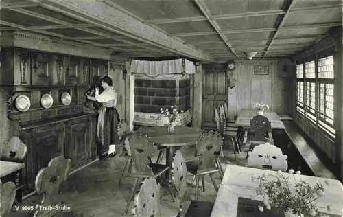 AK / Ansichtskarte  TREIB_UR Treib Stube